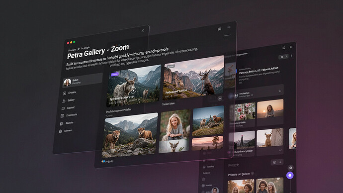 Petra Gallery - Zoom Addon
