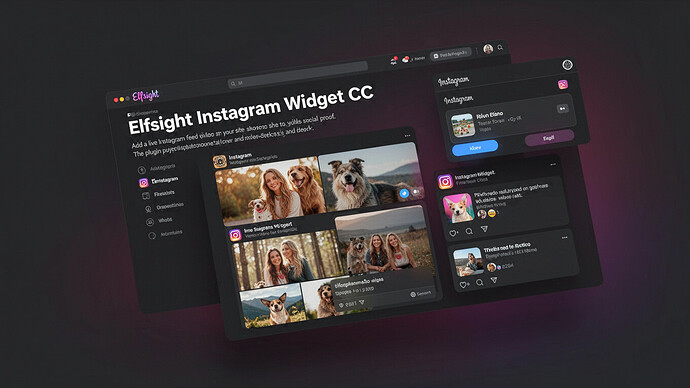 Elfsight Instagram Widget CC