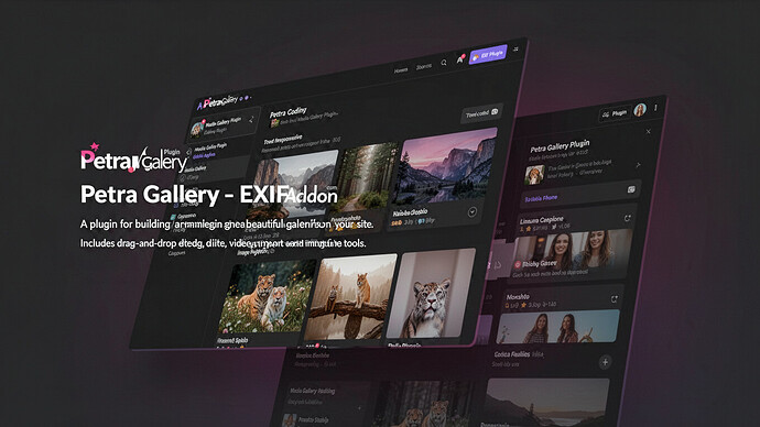 Petra Gallery - EXIF Addon