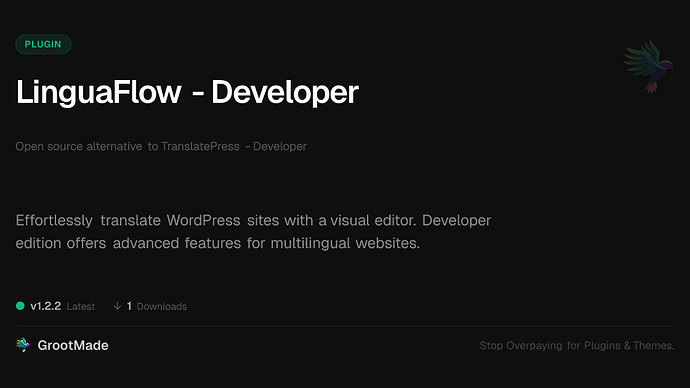 LinguaFlow - Developer